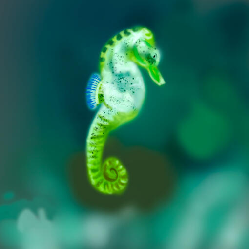 Seahorse
