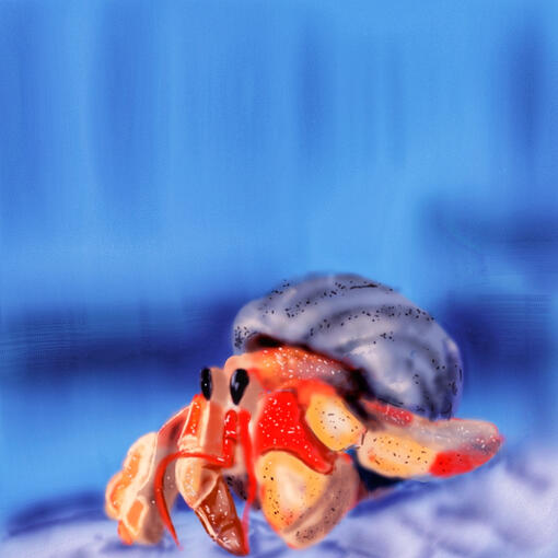 Crab